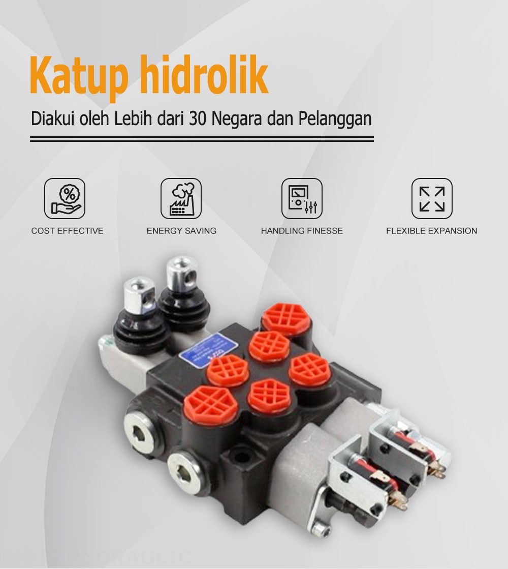 P40 Micro Switch Buku Panduan 2 Spul Kran Arah Monoblok